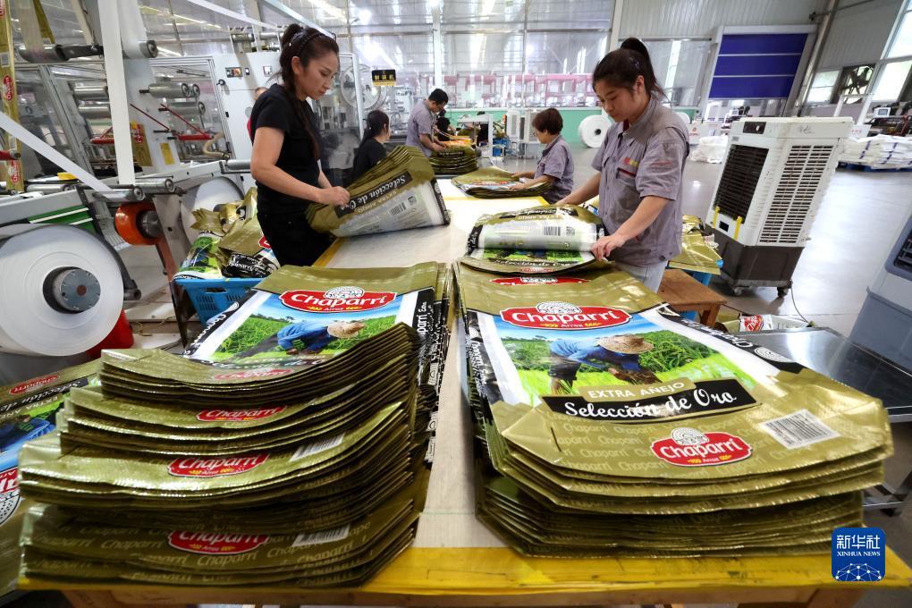 金沙国际唯一官网